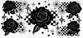 0702 Rose