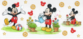 1004 Mickey