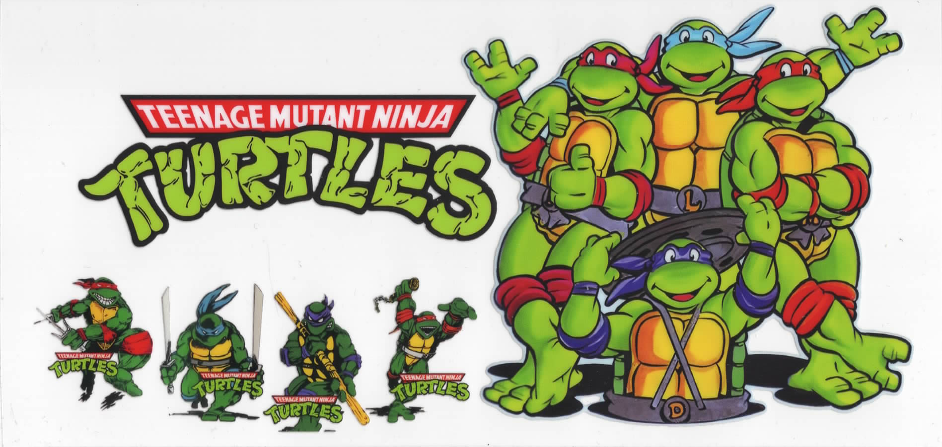 1724 Turtles