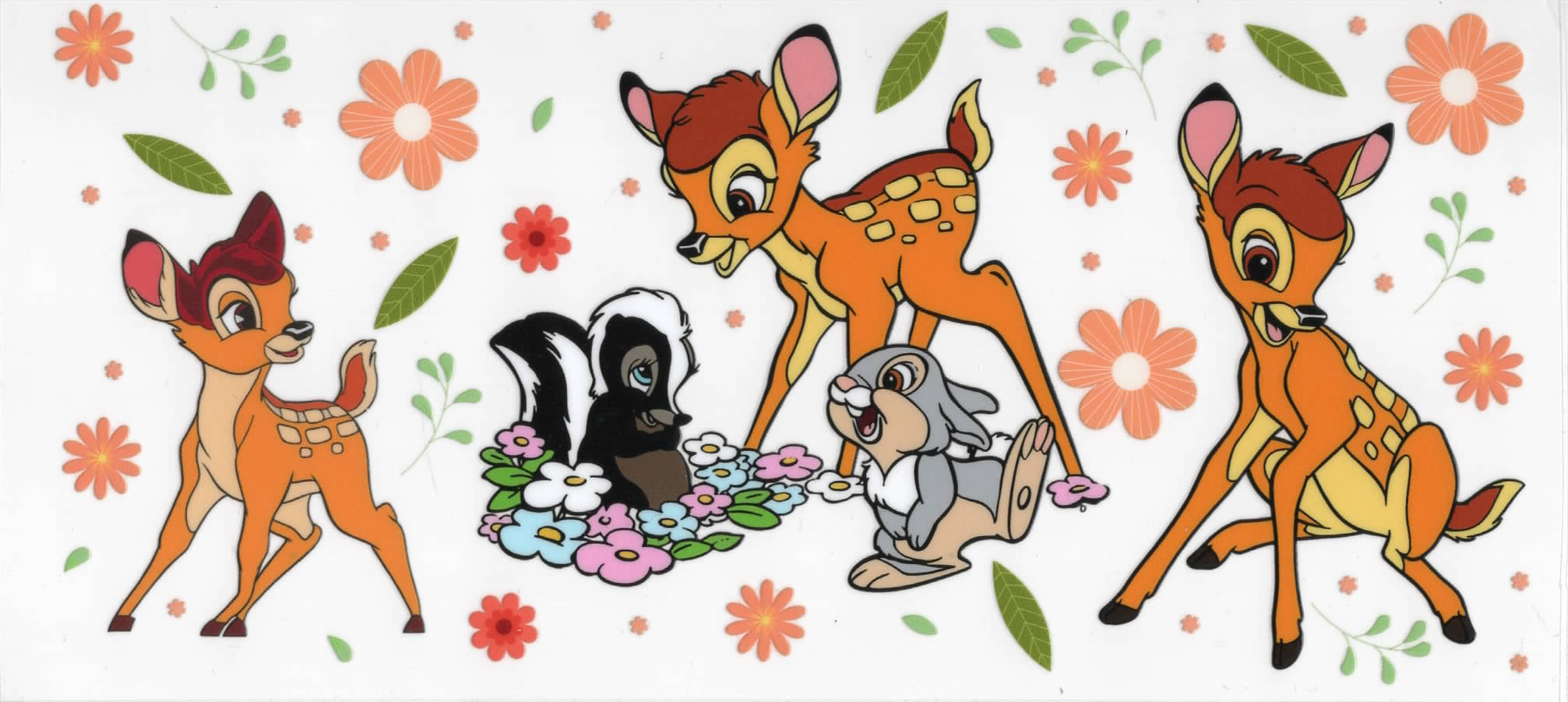Disney Wraps