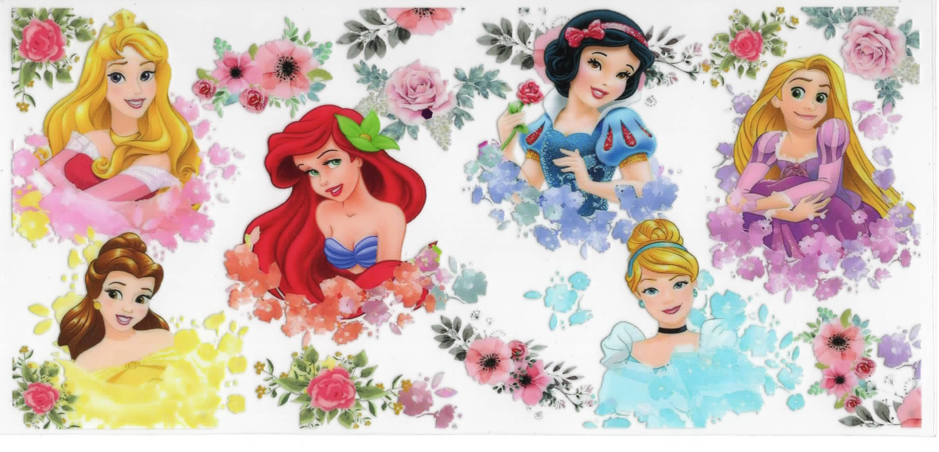 Disney Princess Wraps