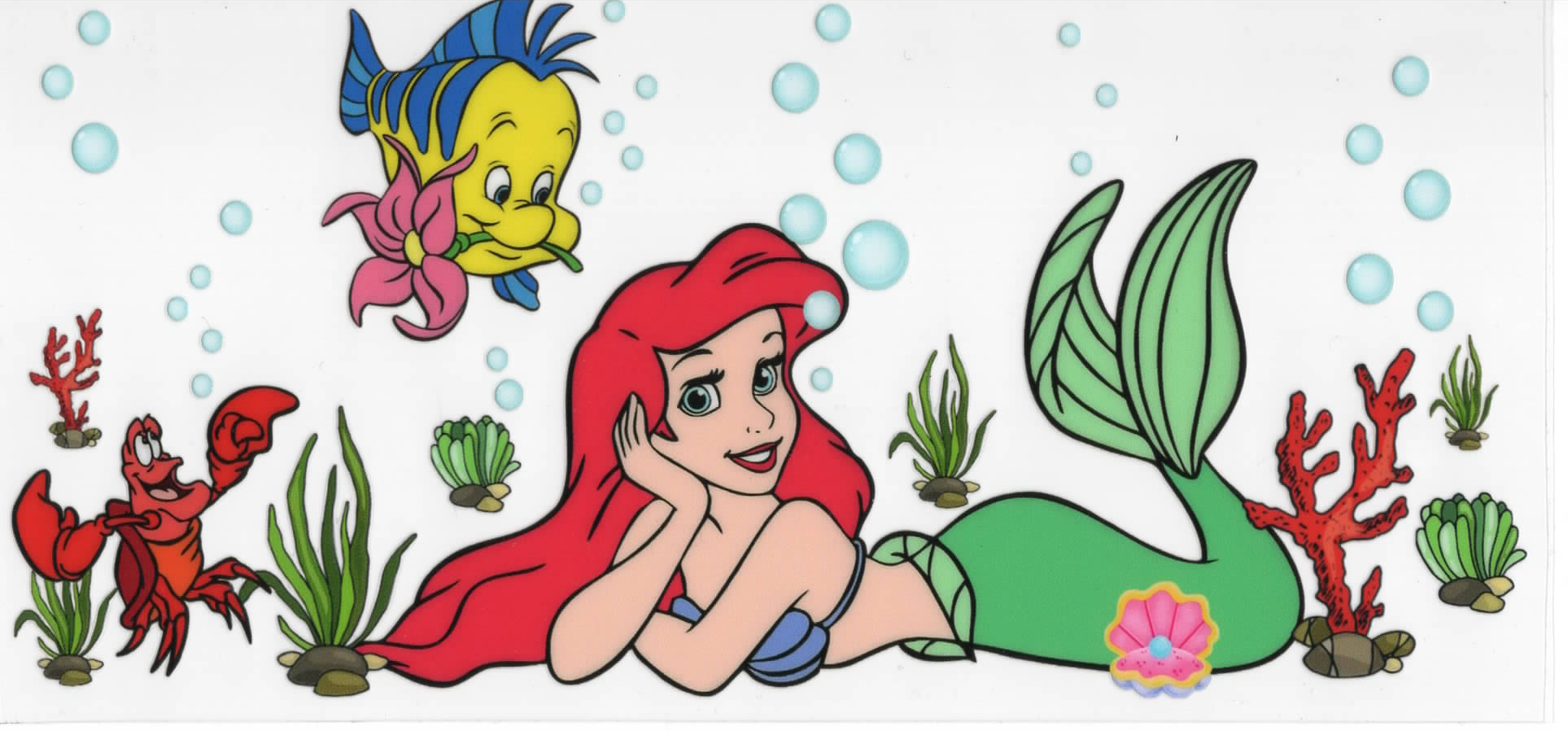 Disney Princess Wraps