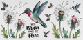 0218 Hummingbird