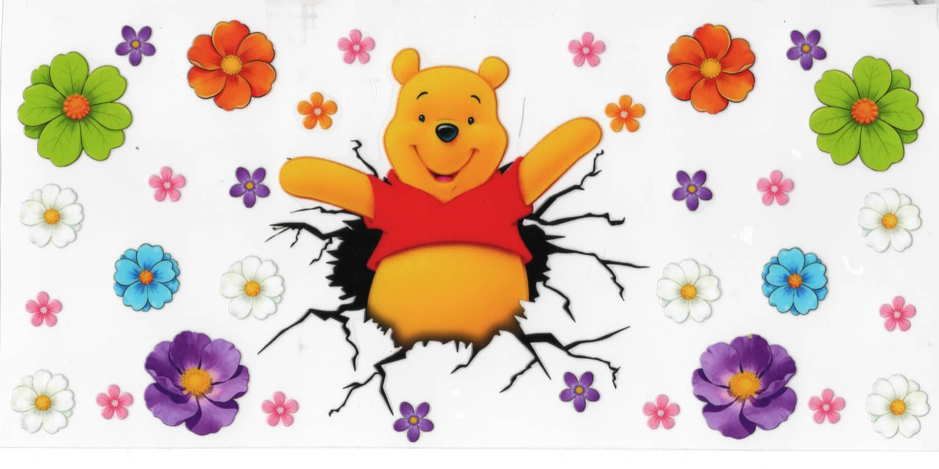 1421 Pooh
